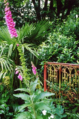 les jardins d'Agapanthe