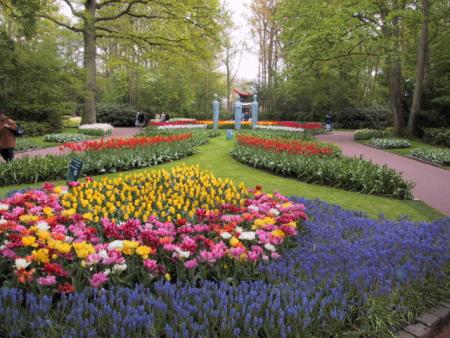 Keukenhof