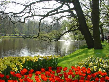 Keukenhof