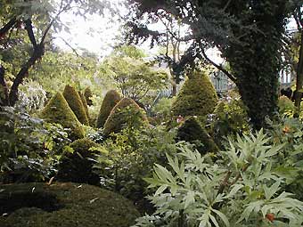 les jardins d'Agapanthe