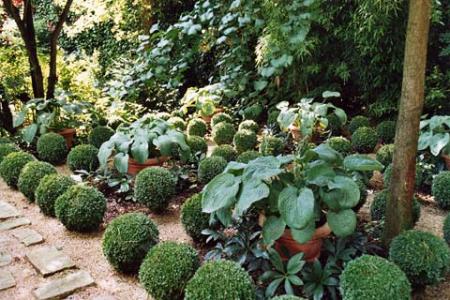 Jardin intimiste
